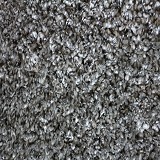 Stanton Carpet
Shaggy Plush